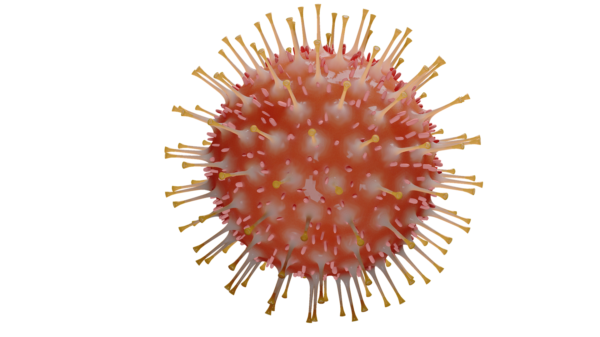 Coronavirus Coronavirus