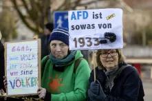 AfD ist sowas von 1933