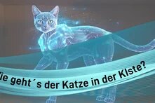 Eine transparente, digital leuchtende Katze steht in einer Kiste. Ein blauer, geschwungener Lichtstreifen verläuft quer über das Bild. Darauf steht in schwarzer Schrift: „Wie geht´s der Katze in der Kiste?