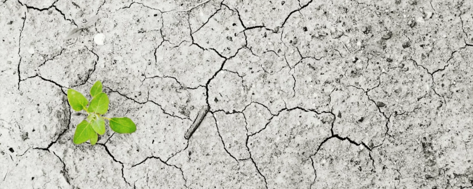 Climate Change Drought Background
