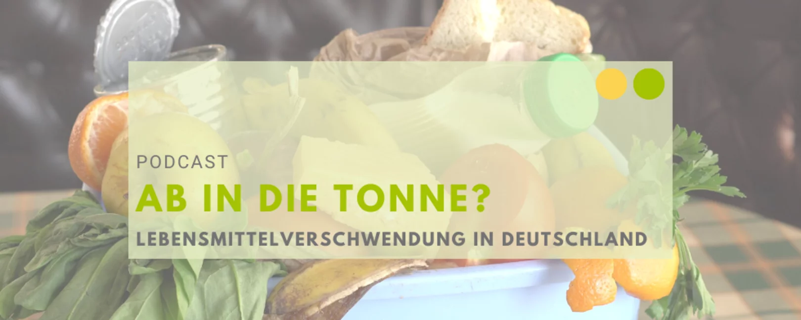 Podcast. Ab in die Tonne? Lebensmittelverschwendung in Deutschland