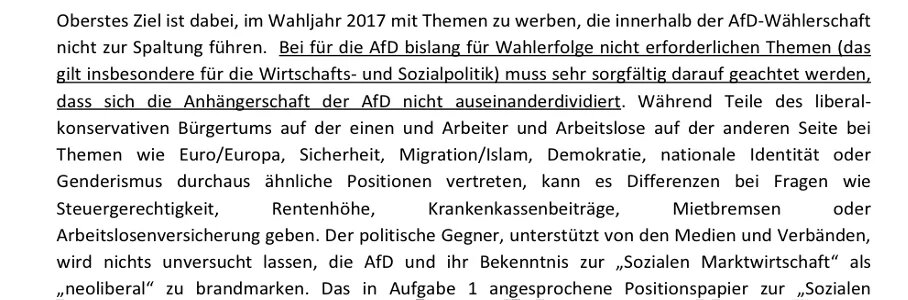 Vertrauliches Strategiepapier AfD