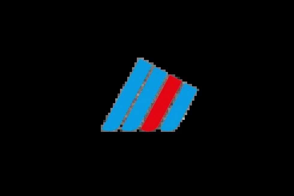 Der Flügel der AfD