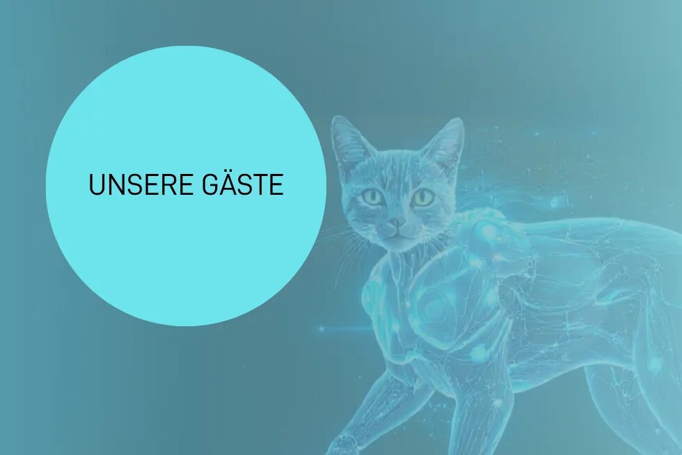 Unsere Gäste