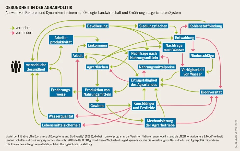 Agraratlas2019 - Infografik - Gesundheit in der Agrarpolitik
